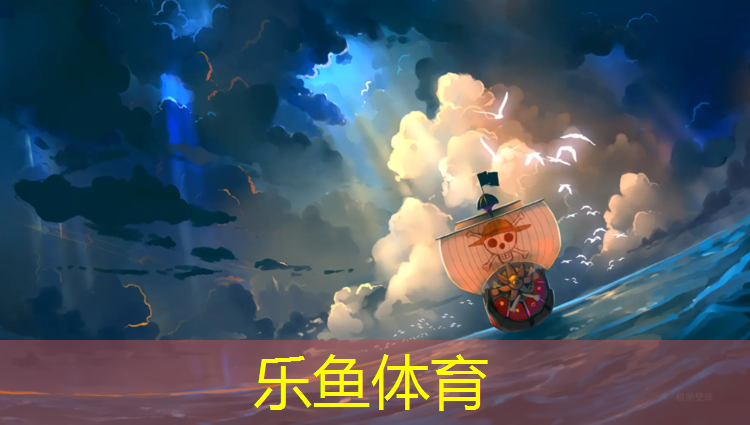 乐鱼体育,体操服胸垫怎么选大小的