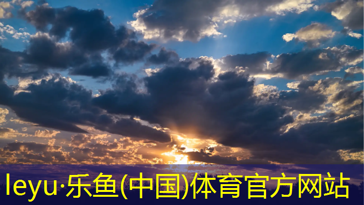 乐鱼体育,龙岩悬浮塑胶跑道