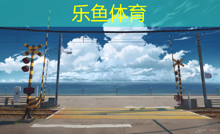 乐鱼体育,吉安环保塑胶跑道定制