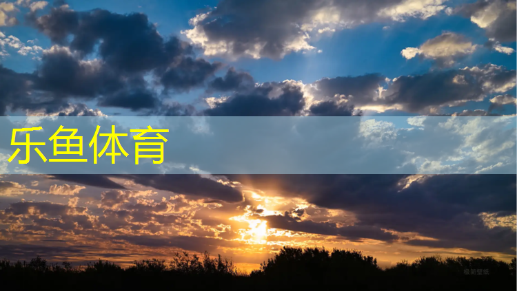 <strong>乐鱼体育,塑胶跑道材料参数</strong>