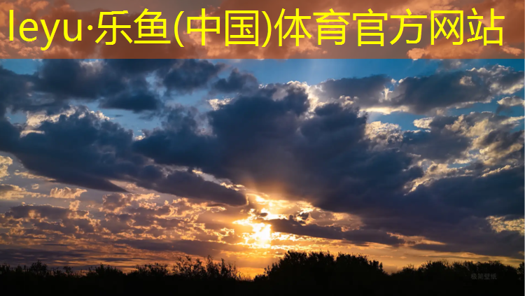 东兴标准塑胶跑道
